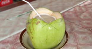 Voda z mladého kokosu jako iontový nápoj vhodný pro všechny sportovce